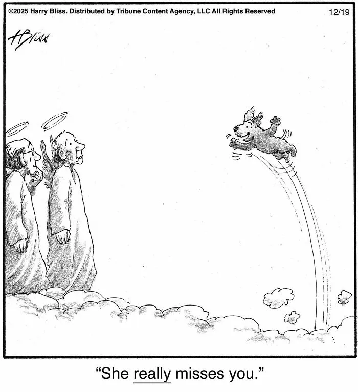 This New Yorker Cartoonist Creates Wholesome And Humorous One-Panel Dog Comics (40 Pics)