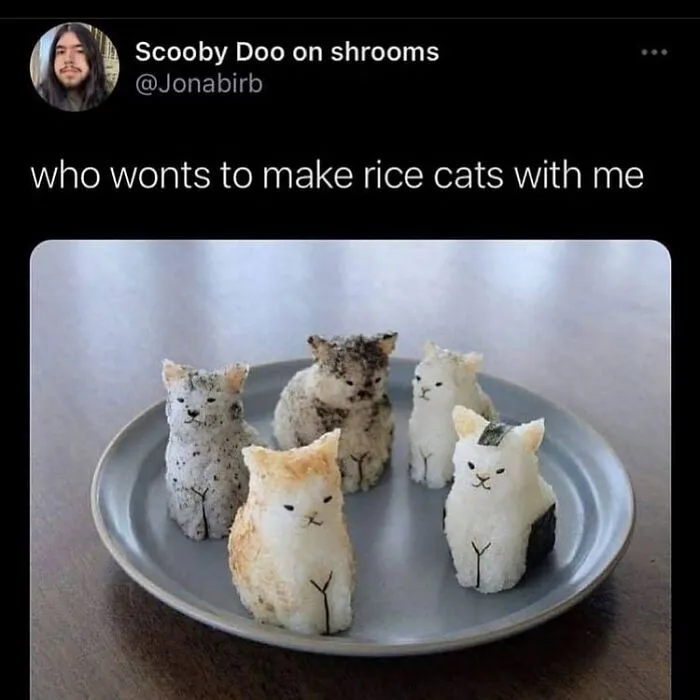 50 Hilarious Memes And Moments Caught On Camera, As Shared By ‘Cats Without Context’