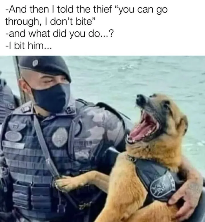 If Nothing Brings You Joy Anymore, Try These 75 Funny And Wholesome Animal Memes