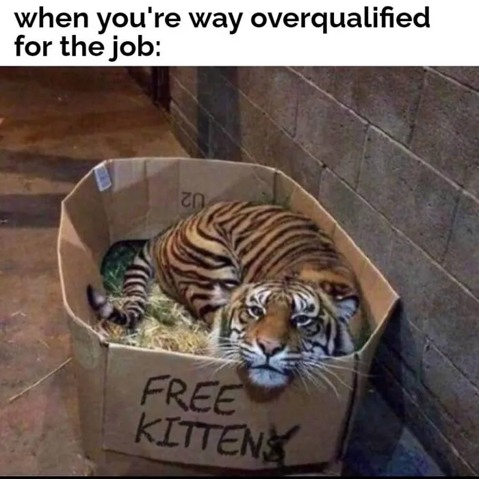 If Nothing Brings You Joy Anymore, Try These 75 Funny And Wholesome Animal Memes