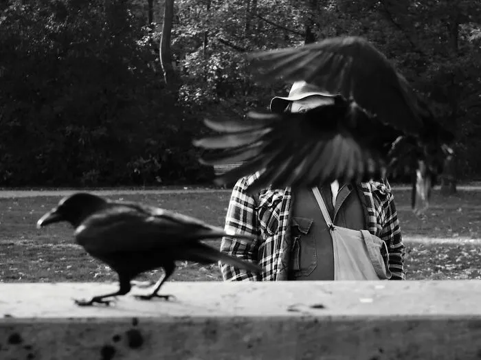 “Crows With Man” By Axel Gorlach