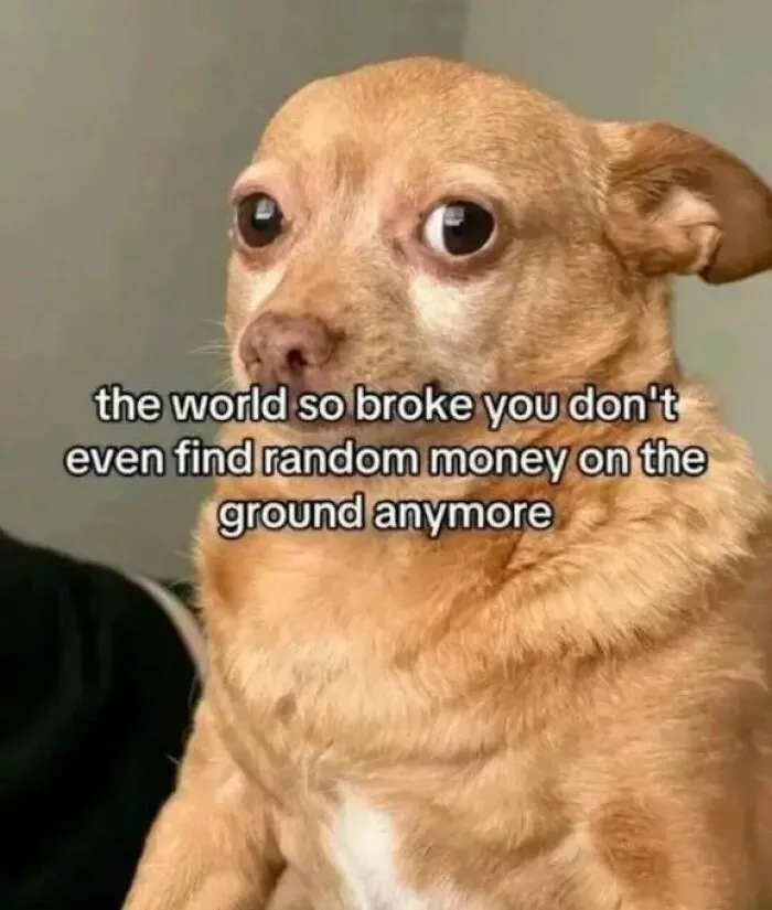 Dog looking worried with caption about finding random money meme