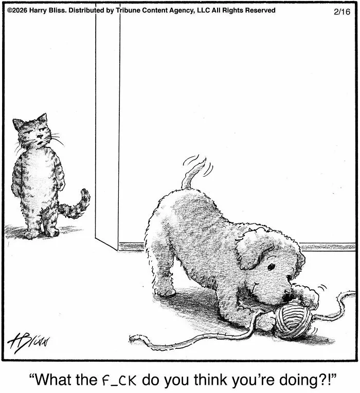 This New Yorker Cartoonist Creates Wholesome And Humorous One-Panel Dog Comics (40 Pics)