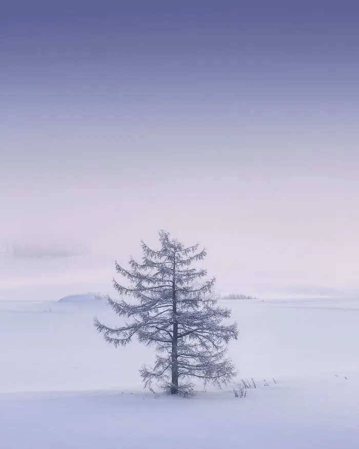 42 Dreamlike Photos Of Japan That Show Its Shrines, Mountains, And Changing Seasons