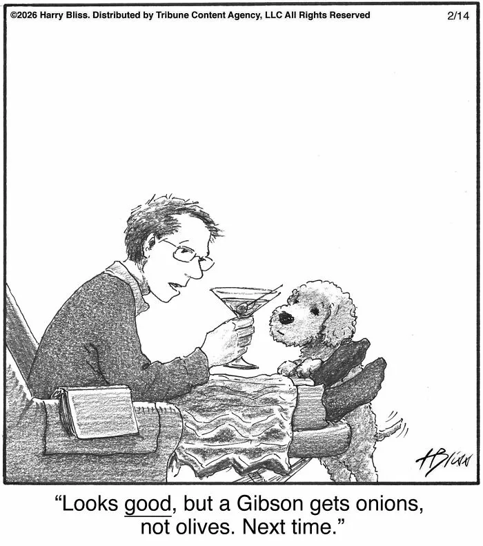 A humorous one-panel dog comic: a man with a martini talks to his dog about the drink's garnish.