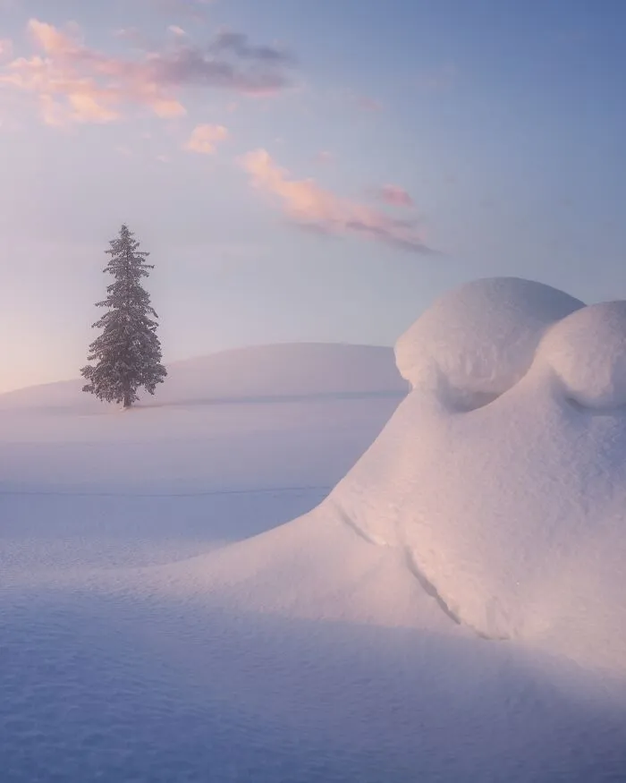 42 Dreamlike Photos Of Japan That Show Its Shrines, Mountains, And Changing Seasons
