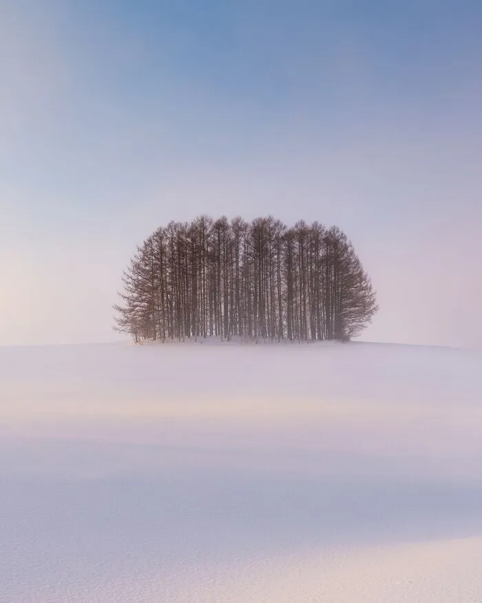 42 Dreamlike Photos Of Japan That Show Its Shrines, Mountains, And Changing Seasons