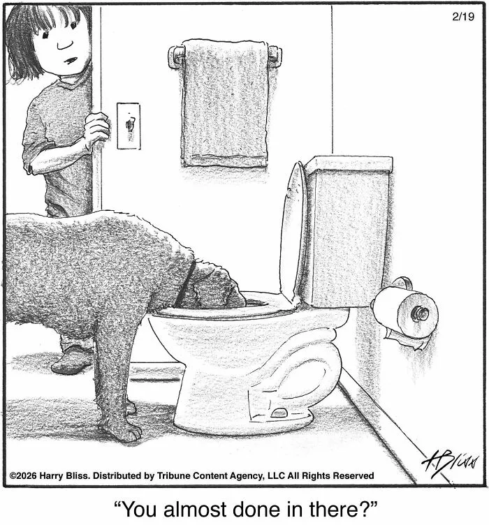 A humorous one-panel dog comic: a person peeks at a dog drinking from a toilet, asking, You almost done in there?