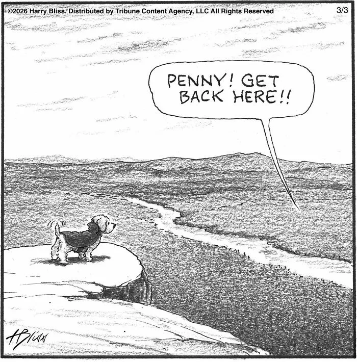 Wholesome and humorous one-panel dog comics: A small dog stands on a cliff edge, overlooking a vast landscape.