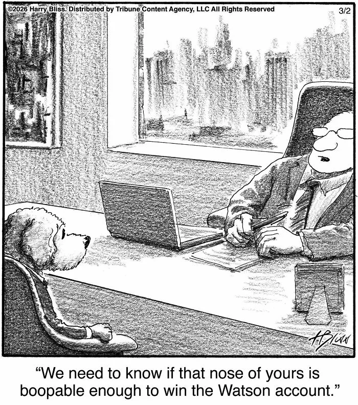 Wholesome and humorous one-panel dog comics: A dog in a suit sits across from a man at a desk during a job interview.