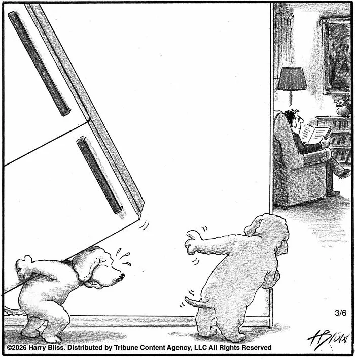 Wholesome and humorous one-panel dog comics: Two dogs attempt to push over a large piece of furniture.