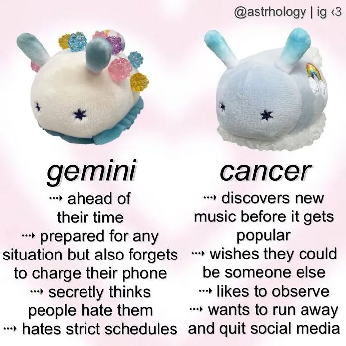 115 Of The Funniest Astrology Memes To Leave You Searching Up Your Birth Chart