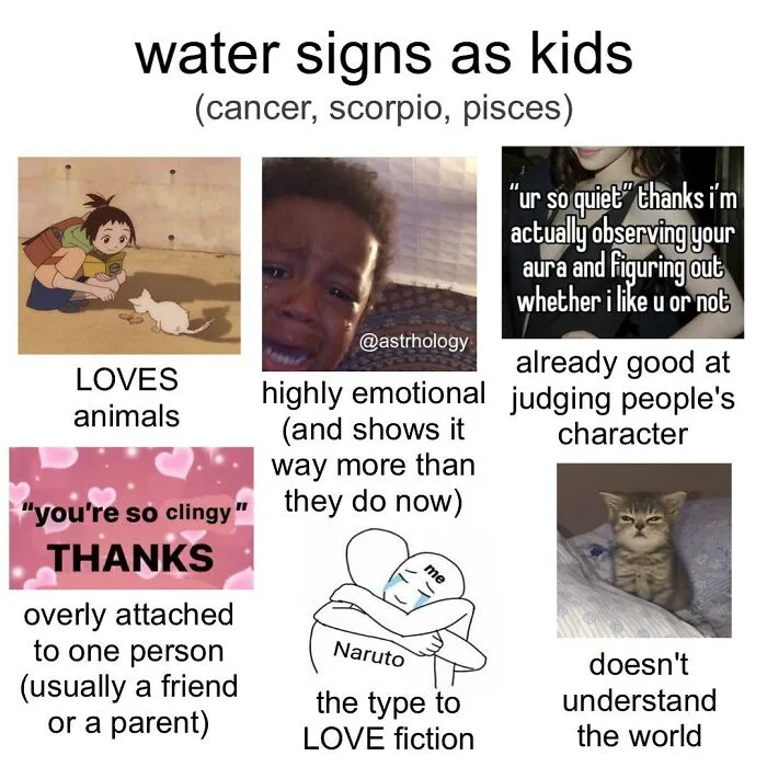 115 Of The Funniest Astrology Memes To Leave You Searching Up Your Birth Chart