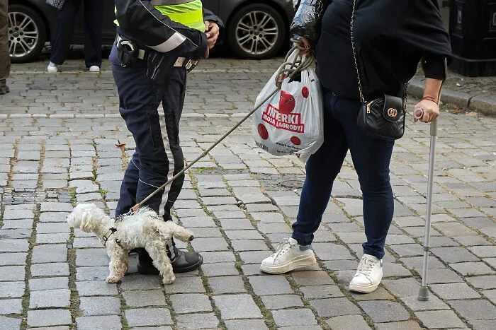 30 Fotografías callejeras donde la oportunidad, la suerte y las coincidencias curiosas crean magia