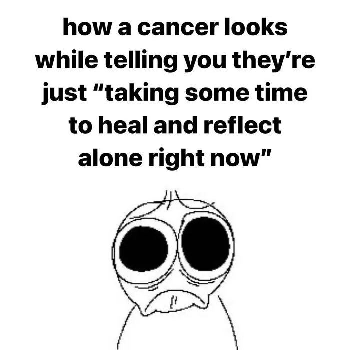 115 Of The Funniest Astrology Memes To Leave You Searching Up Your Birth Chart