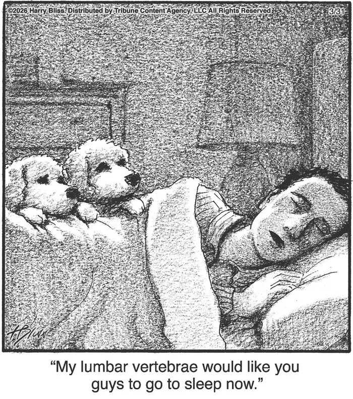 This New Yorker Cartoonist Creates Wholesome And Humorous One-Panel Dog Comics (40 Pics)