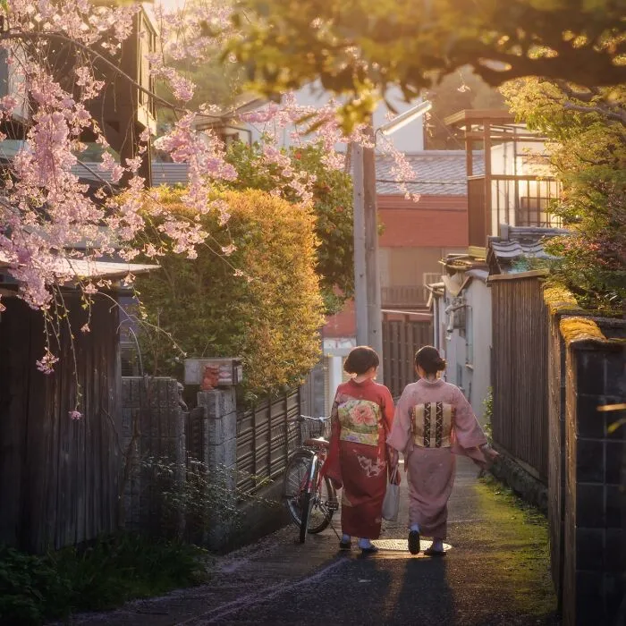 42 Dreamlike Photos Of Japan That Show Its Shrines, Mountains, And Changing Seasons