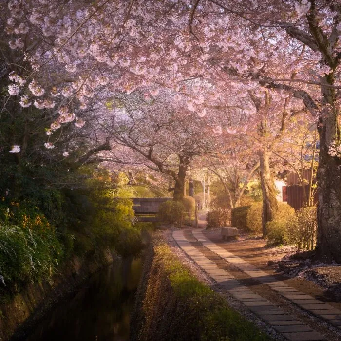 42 Dreamlike Photos Of Japan That Show Its Shrines, Mountains, And Changing Seasons