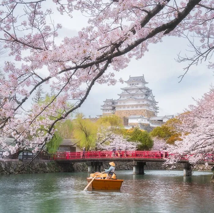42 Dreamlike Photos Of Japan That Show Its Shrines, Mountains, And Changing Seasons