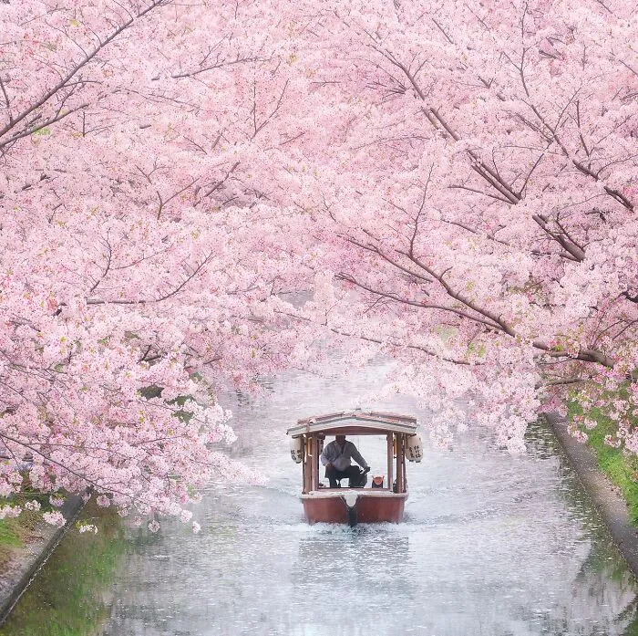 42 Dreamlike Photos Of Japan That Show Its Shrines, Mountains, And Changing Seasons