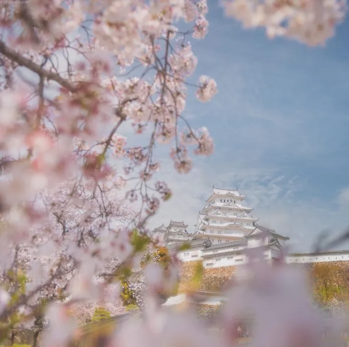 42 Dreamlike Photos Of Japan That Show Its Shrines, Mountains, And Changing Seasons