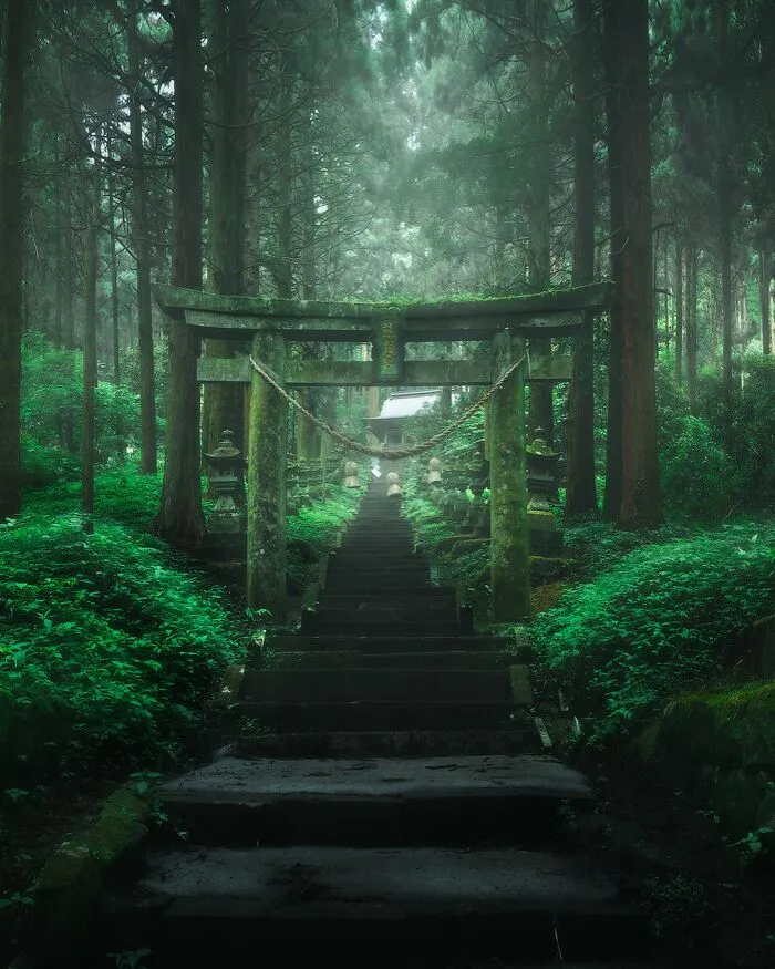 42 Dreamlike Photos Of Japan That Show Its Shrines, Mountains, And Changing Seasons