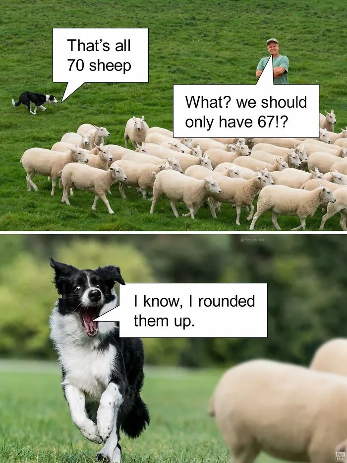 85 Dad Jokes That Shouldn’t Be Funny But Somehow Are Every Single Time (New Pics) 