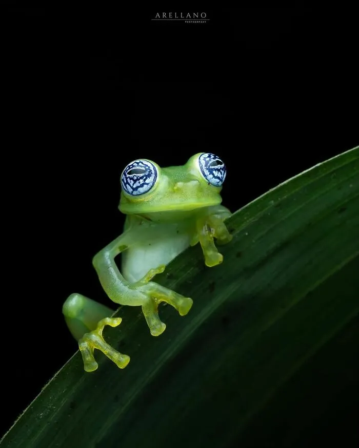55 Fascinating Macro Photos Shared By This Page That Reveal Tiny Worlds Up Close