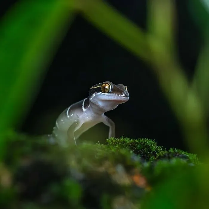 55 Fascinating Macro Photos Shared By This Page That Reveal Tiny Worlds Up Close
