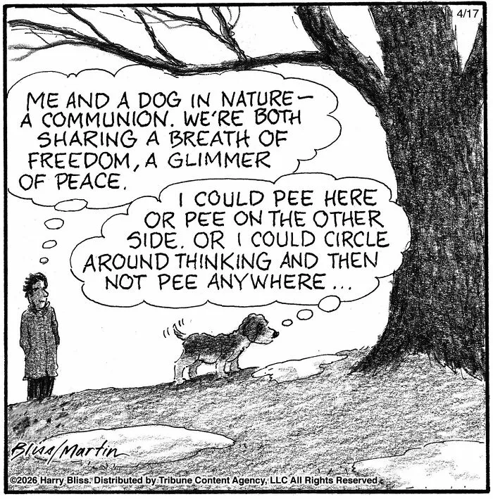 A wholesome and humorous one-panel dog comic depicts a man and his dog pondering freedom and peeing in nature.
