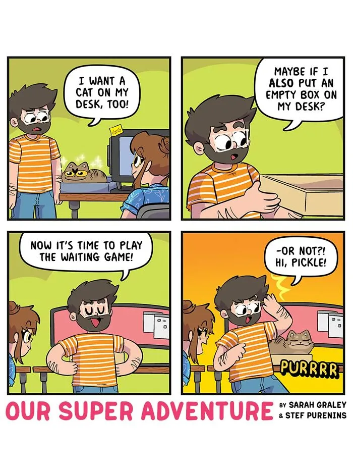Love And Cats: 50 Hilariously Relatable Comics By Sarah Graley, Inspired By Real-Life Moments (New Pics)