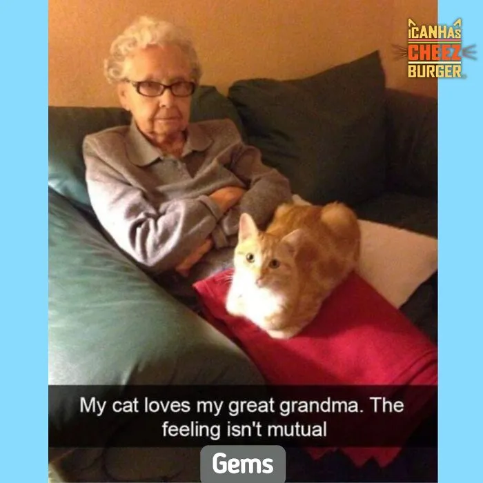 41 Of The Funniest And Cutest Cat Posts Shared By This Page (New Pics)