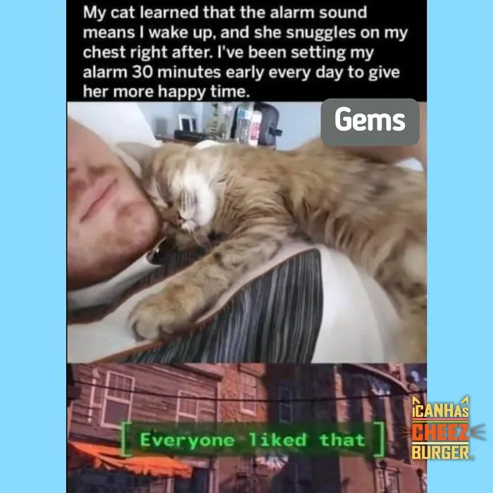 41 Of The Funniest And Cutest Cat Posts Shared By This Page (New Pics)