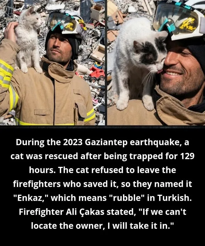 24 Wholesome Animal Facts From Around The World That Restore Faith In Nature