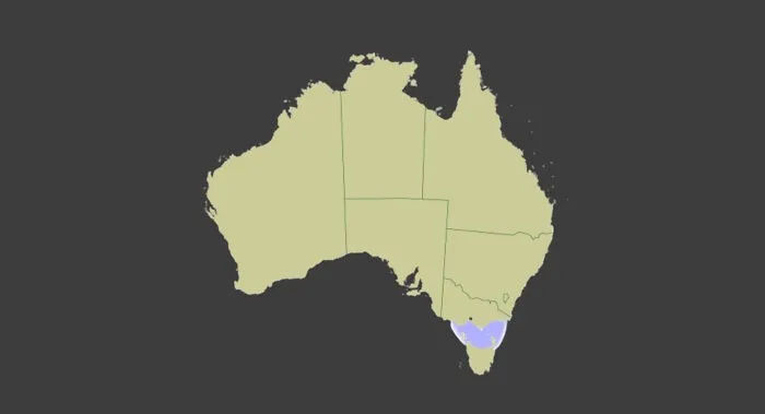 Map of Australia with Tasmania highlighted in purple, separated by Bass Strait. Useful for Australian Citizenship studies.