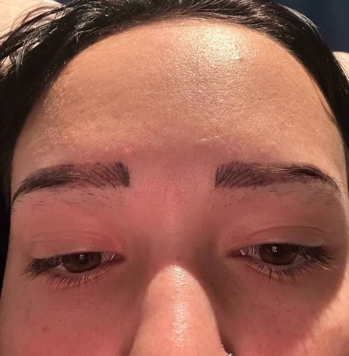 Botched Nanobrow Update