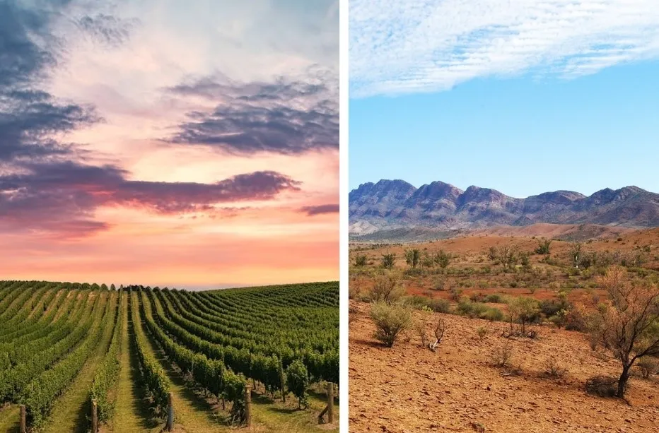 Barossa Valley vineyard at sunset and Flinders Ranges with arid landscape under a clear sky; icons of South Australia.