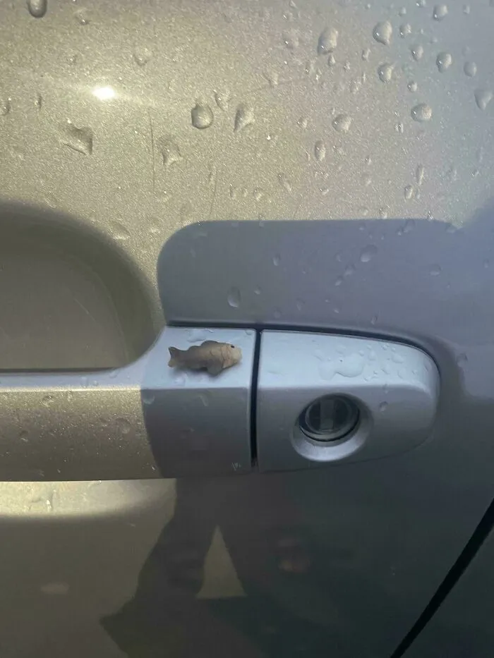 Someone Put A Plastic Fish On My Car Door Handle