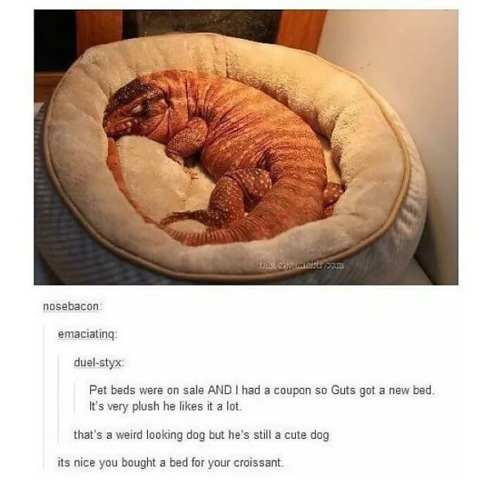 Sadly It Got Deleted From R/Wholesome Memes