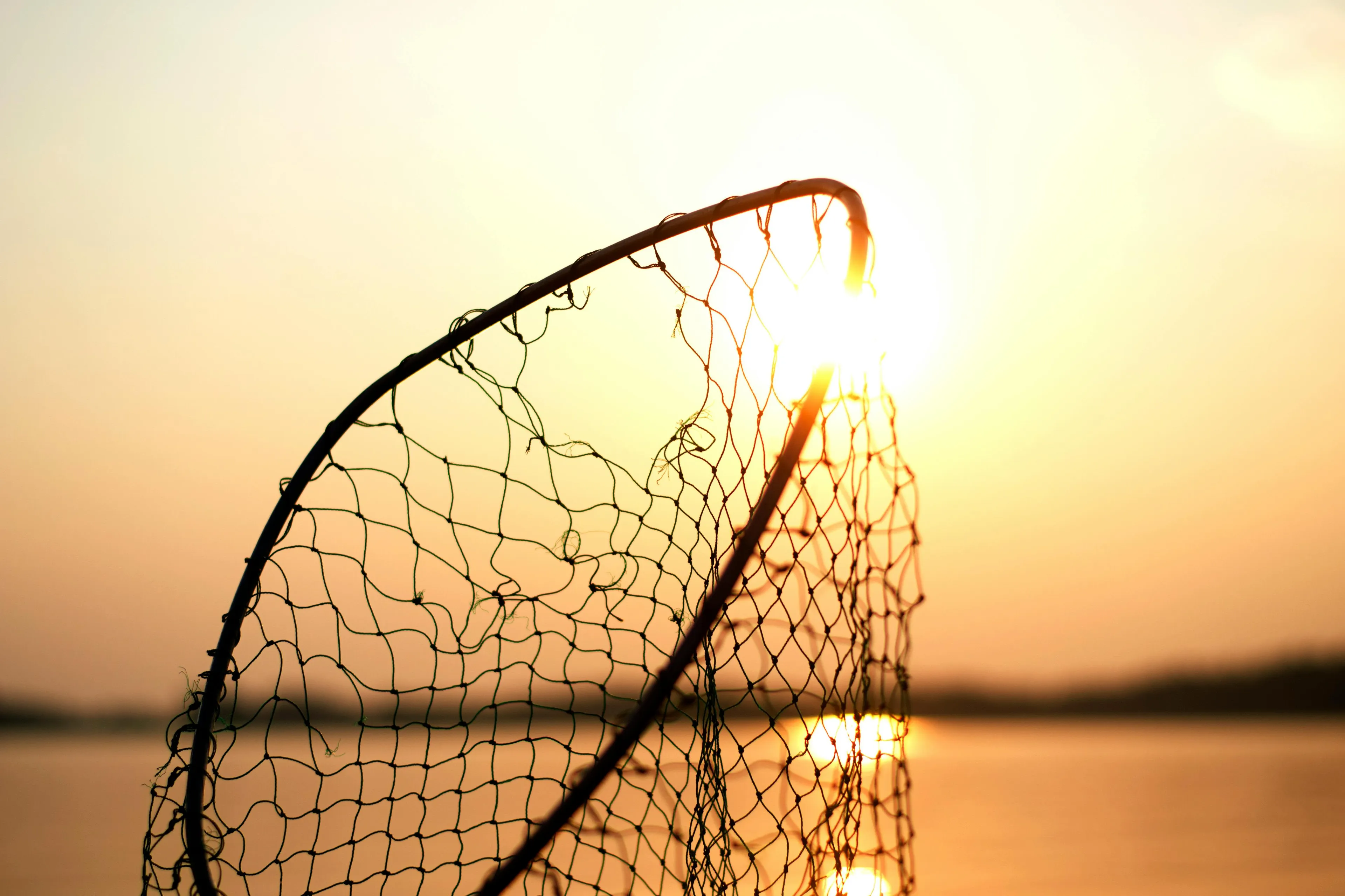 A fishing net silhouette against a bright sunset over water, showing the main SEO keyword for survival.