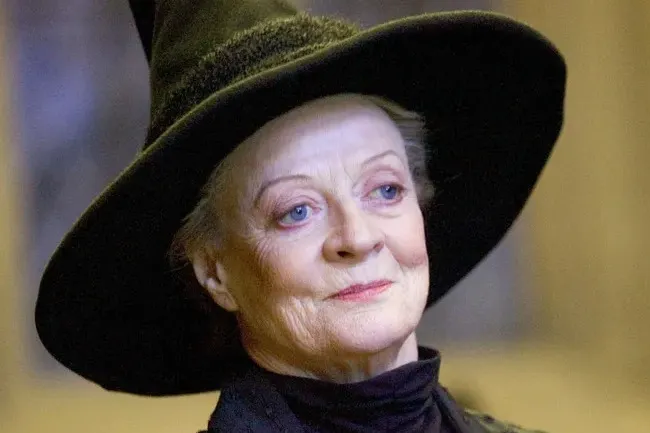 Professor McGonagall, a fictional mentor, wearing a black witch's hat and dark clothes, looking off to the side.