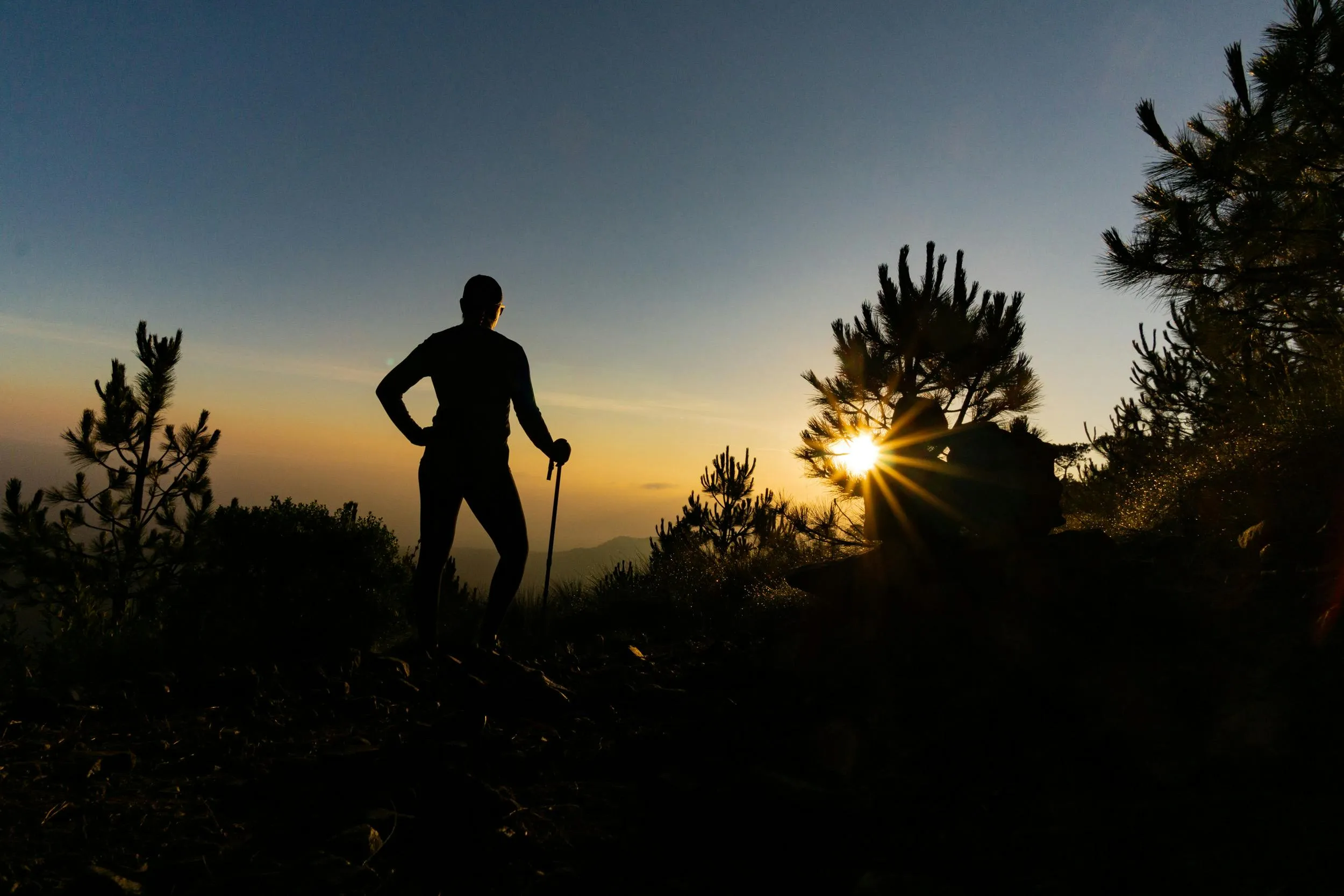 Silhouette of a hiker with a pole on a mountain top during a morning hike, with the sun setting behind pine trees.