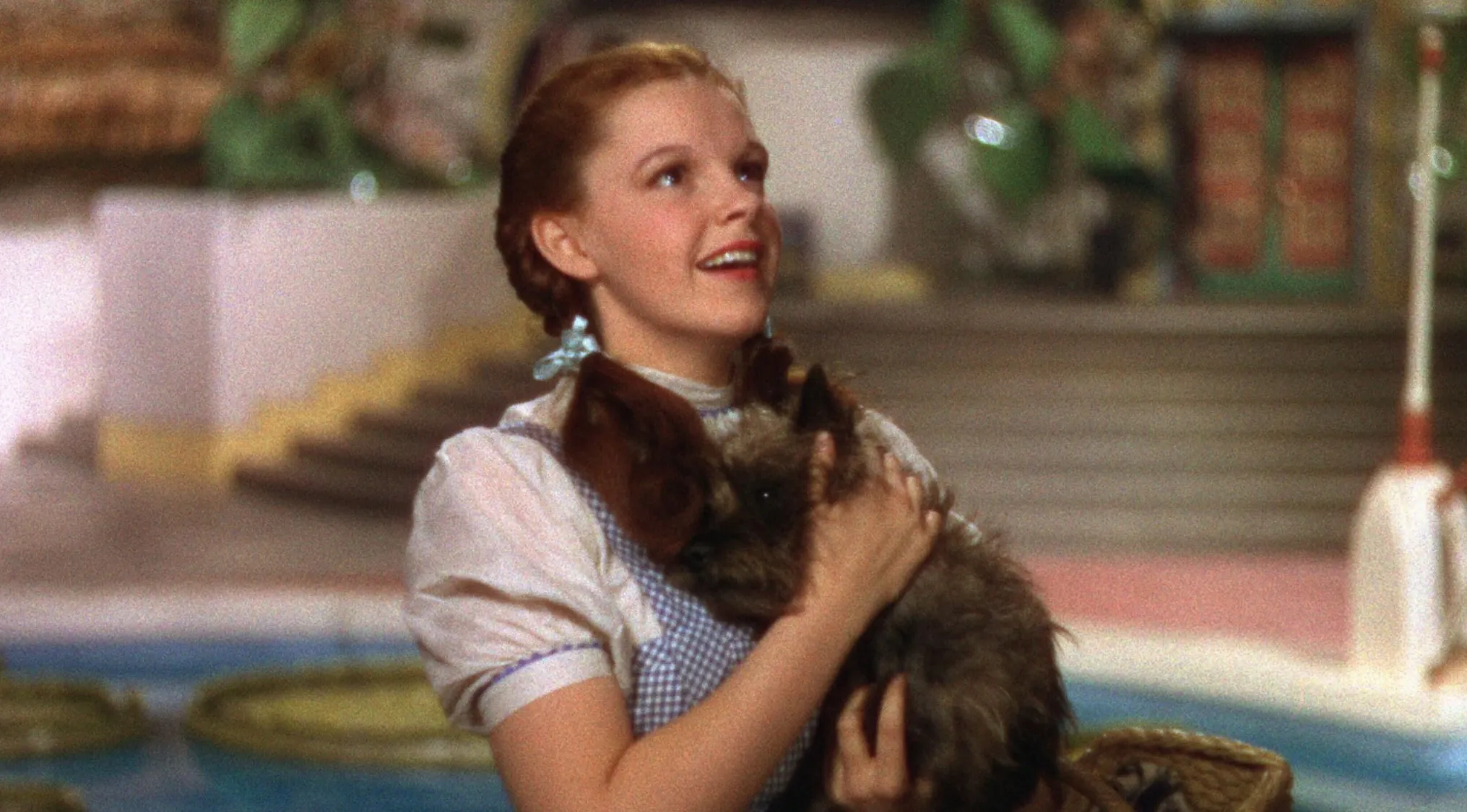 Dorothy, with braids and a blue gingham dress, smiling while holding her dog Toto. Name the character.