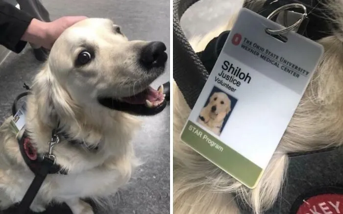 My Hospital Hired An Employee Whose Only Job Is To Go Around Saying Hi To Other Employees While They Work