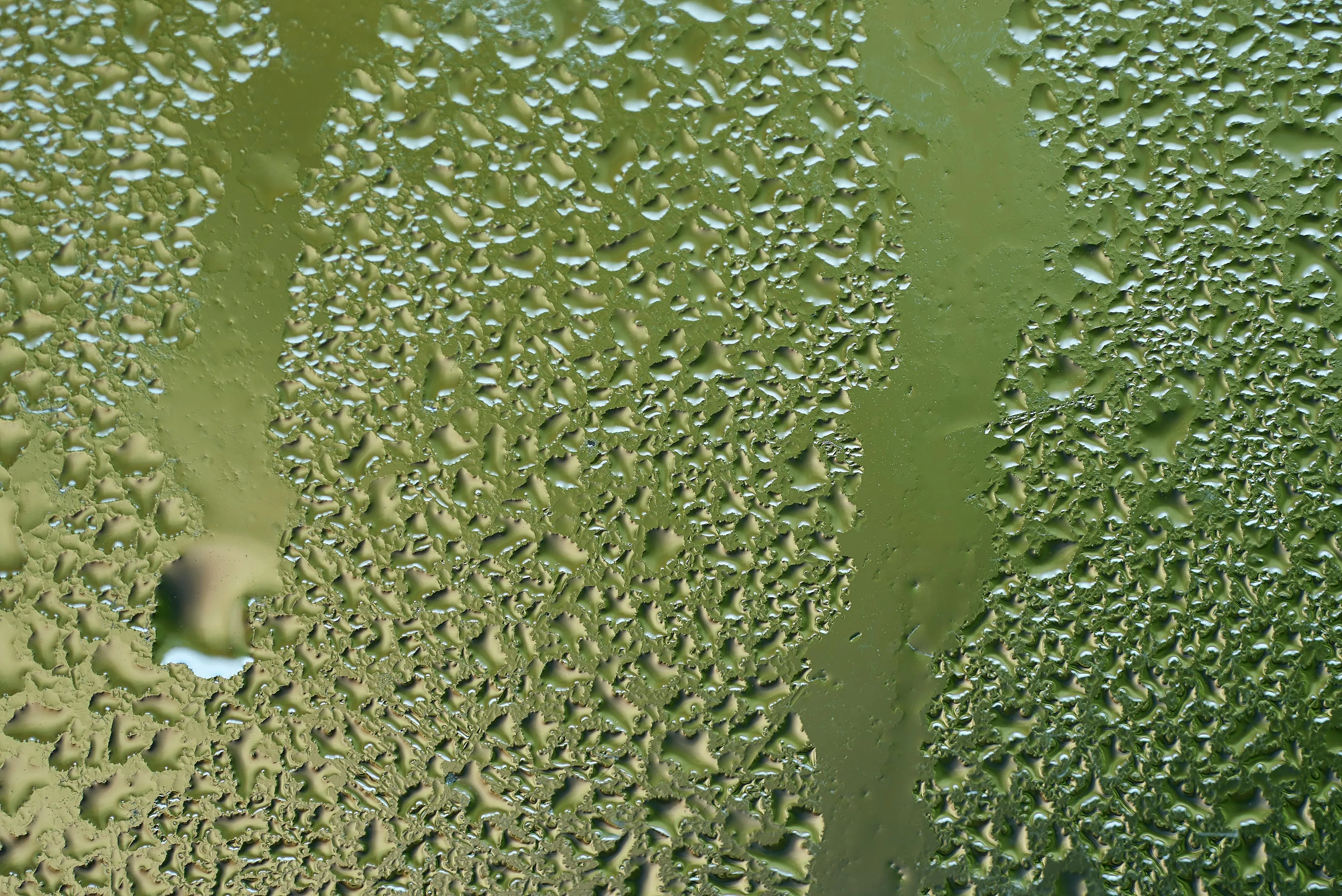 Close-up of many small water droplets condensed on a clear surface with a blurred green background, illustrating water vapor.