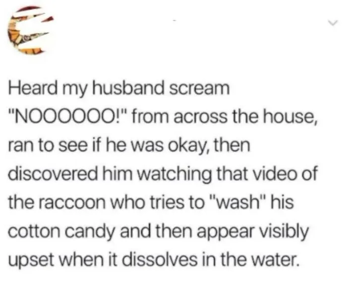 51 Times Husbands Did Or Said Such Hilarious Things, Wives Had To Share Them On X (New Pics)