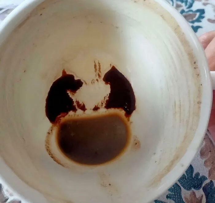 Dog And Cat In The Leftover Coffee Cup