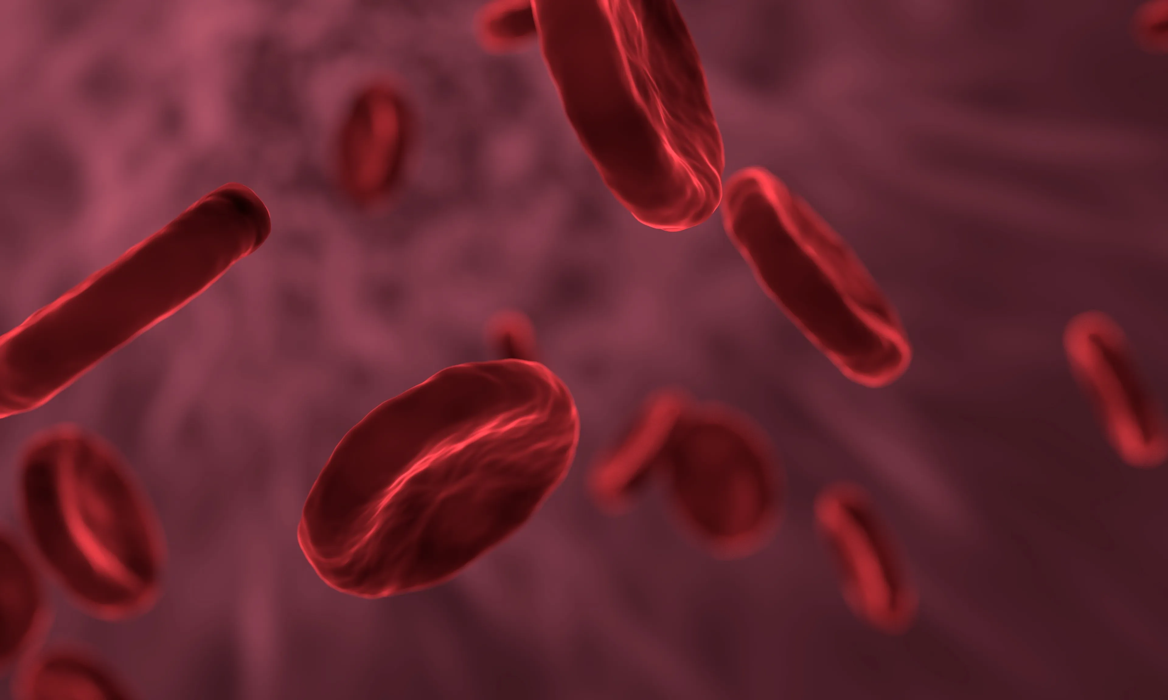 Microscopic view of red blood cells, vital for understanding blood filtration and the body's primary organ that filters blood.
