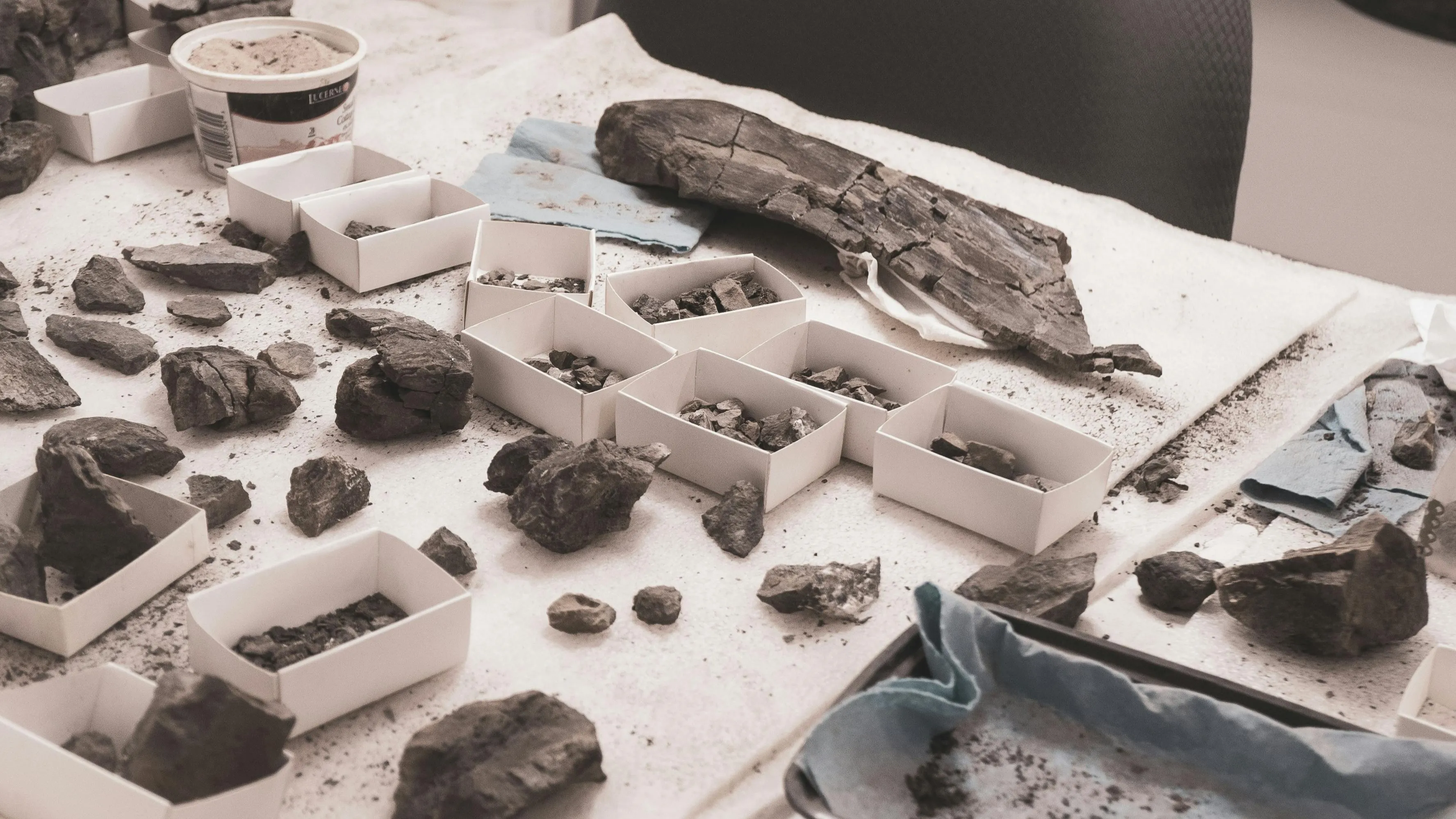 Various fossils and rock fragments laid out on a table for the study of fossils, with small white boxes containing sorted pieces.