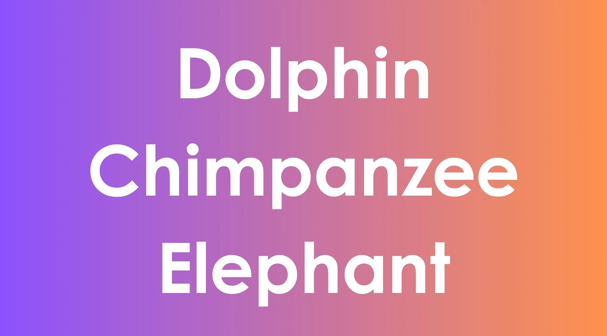 Science Type-In Trivia question: Dolphin, Chimpanzee, Elephant, asking which class these animals belong to.